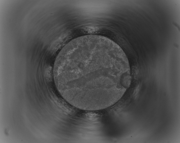 X0000103960650200810101245