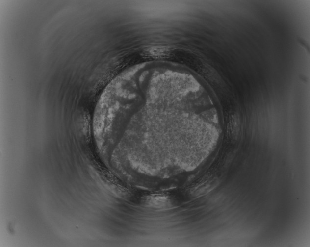 X0000103960651200810101245