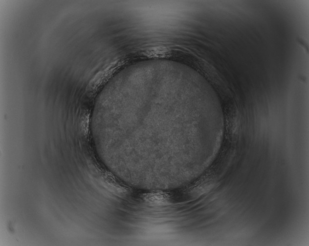 X0000103960652200810101245