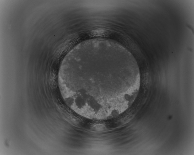 X0000103960653200810101245