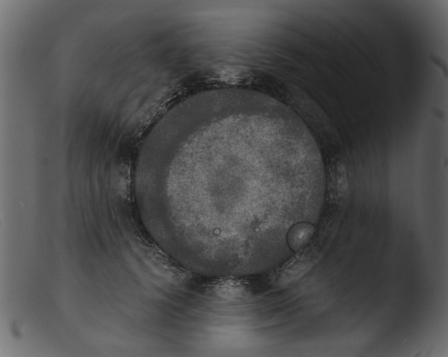 X0000103960656200810101245