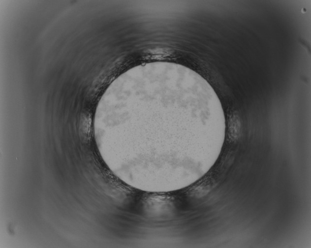 X0000103960657200810101245