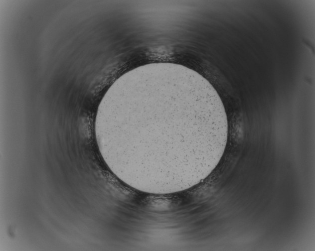 X0000103960658200810101246