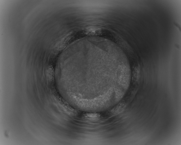 X0000103960659200810101246