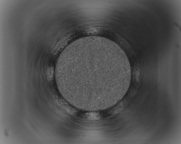 X0000103960660200810101246