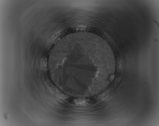 X0000103960661200810101246