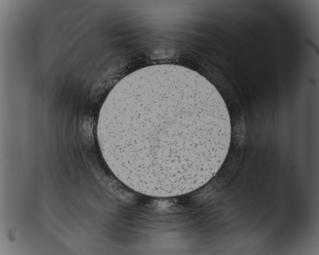 X0000103960662200810101246