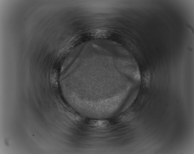 X0000103960663200810101246