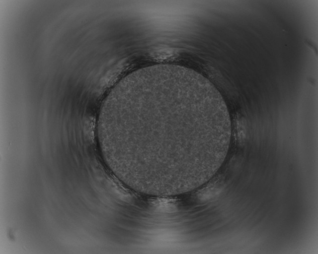 X0000103960664200810101246