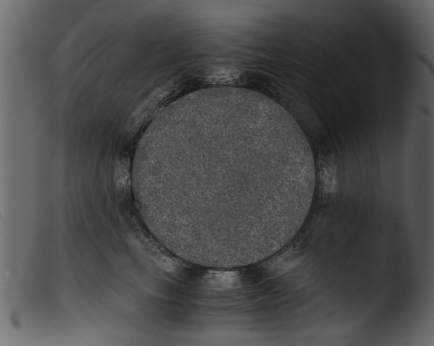 X0000103960665200810101246