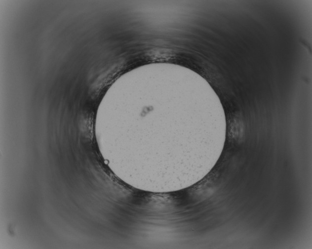 X0000103960666200810101246