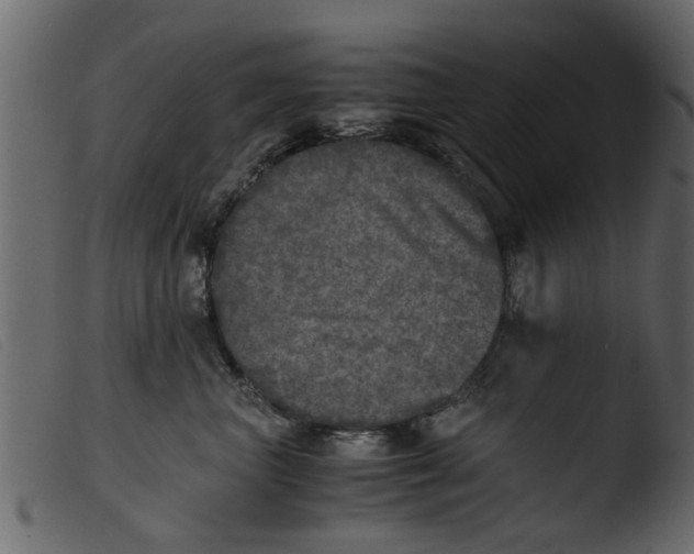 X0000103960667200810101246