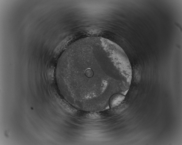 X0000103960668200810101246