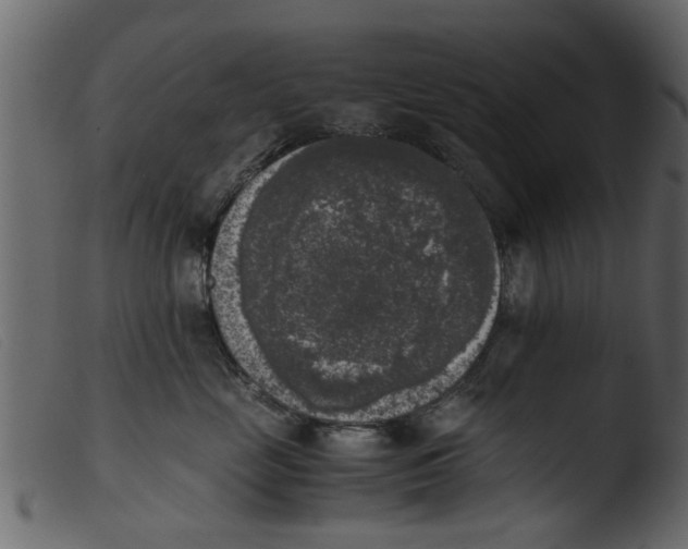 X0000103960669200810101246