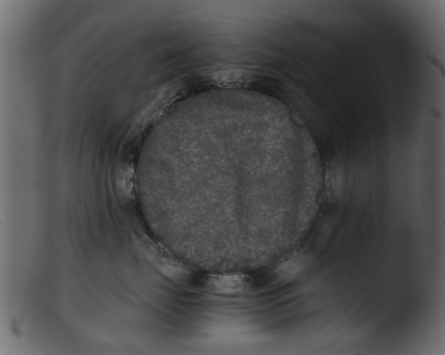 X0000103960671200810101246