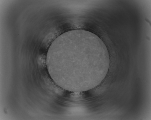 X0000103960672200810101246