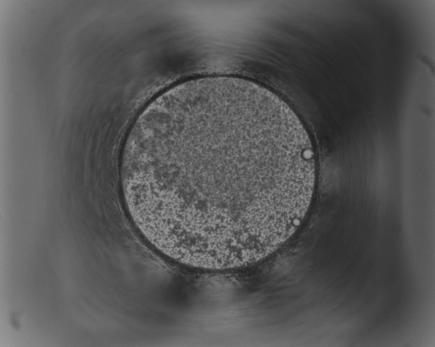 X0000103960673200810101245