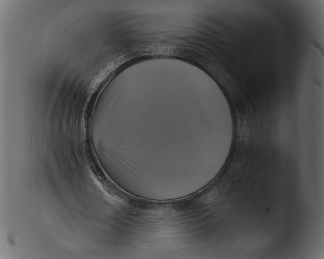 X0000103960674200810101245