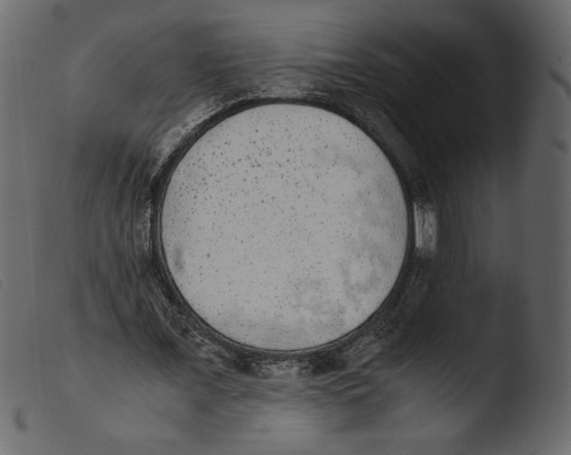 X0000103960675200810101245