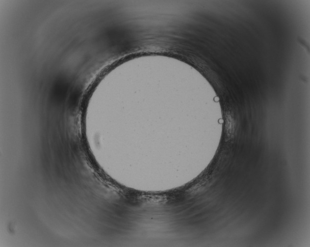 X0000103960676200810101245