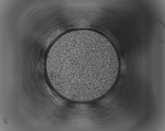 X0000103960677200810101245