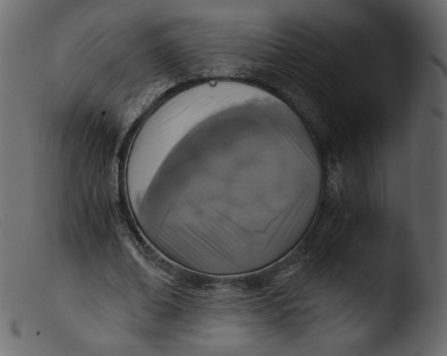 X0000103960678200810101245