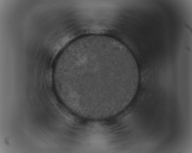 X0000103960679200810101245