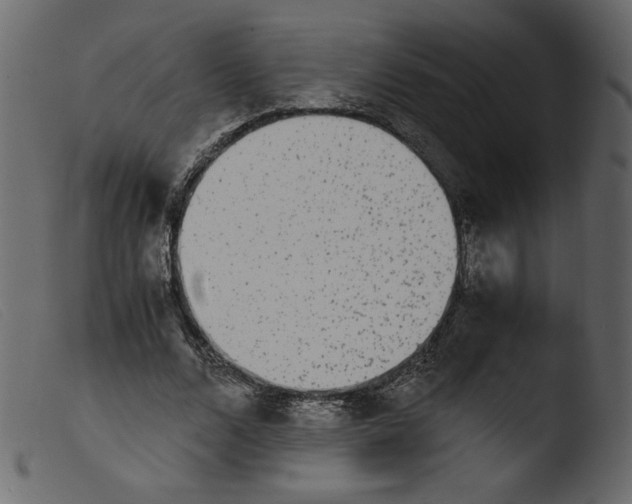 X0000103960680200810101245