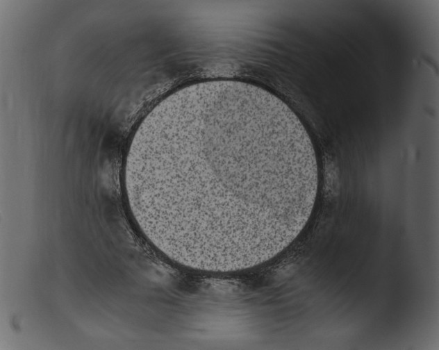 X0000103960681200810101245