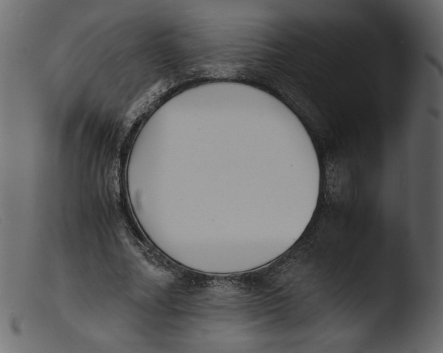 X0000103960682200810101245