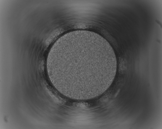 X0000103960683200810101245