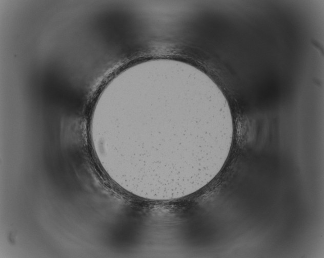 X0000103960684200810101245