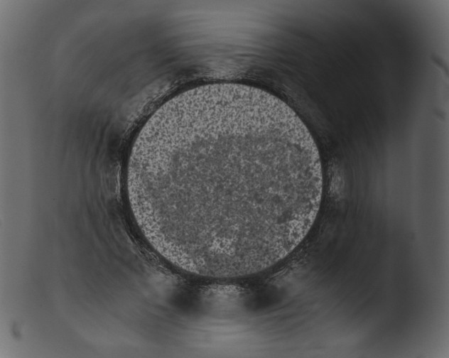 X0000103960685200810101245