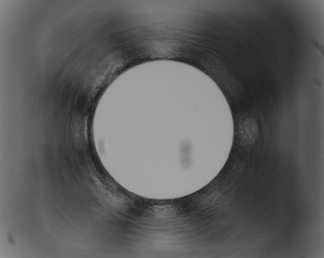 X0000103960686200810101245