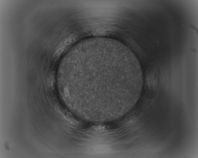 X0000103960687200810101245