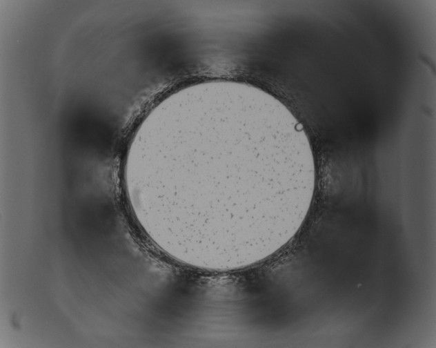 X0000103960688200810101245