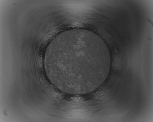 X0000103960689200810101245