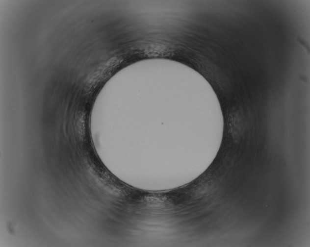 X0000103960690200810101245