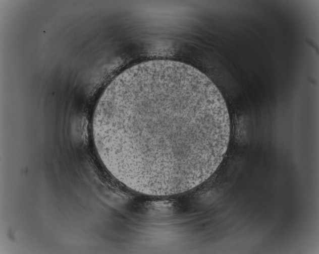 X0000103960692200810101245