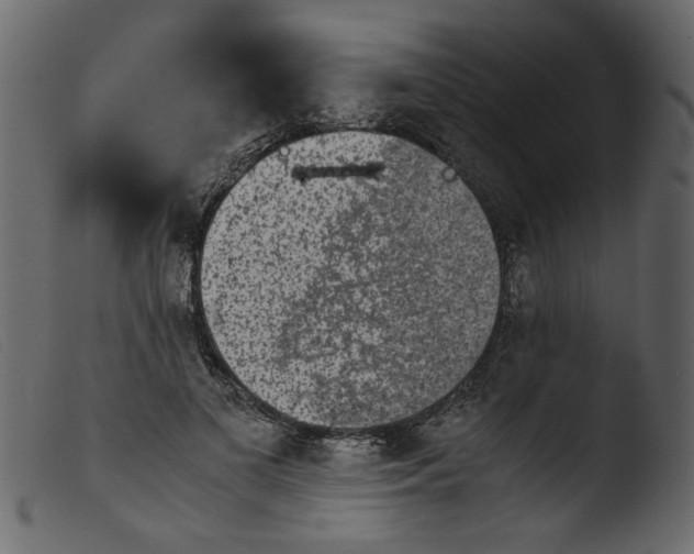 X0000103960693200810101245