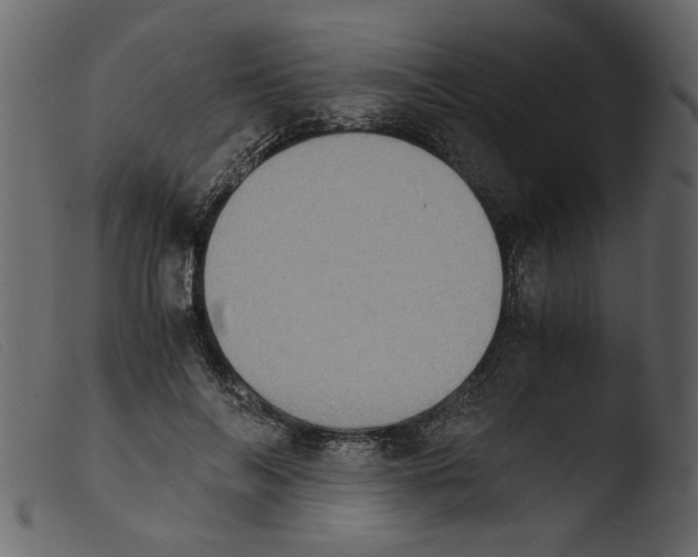 X0000103960694200810101245