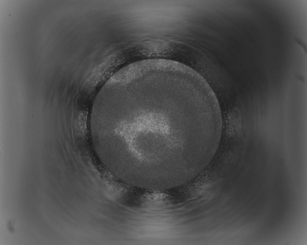 X0000103960695200810101245