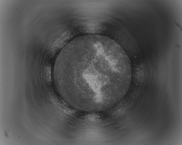 X0000103960696200810101245