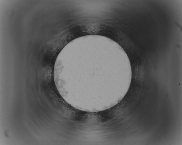 X0000103960697200810101245