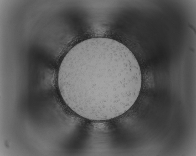 X0000103960698200810101245