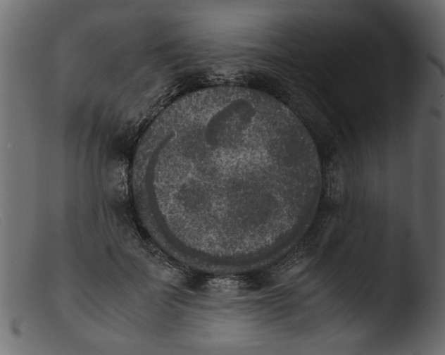 X0000103960699200810101245