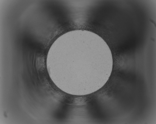 X0000103960700200810101245