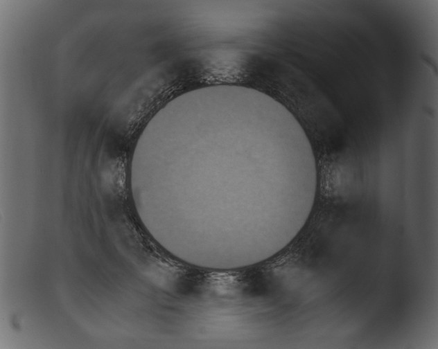 X0000103960701200810101245