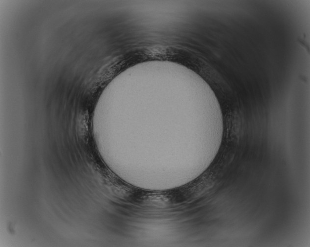 X0000103960702200810101245