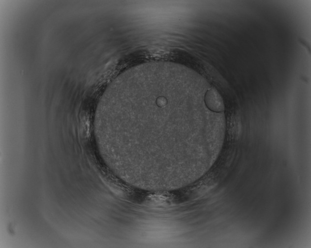 X0000103960703200810101245